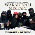 DJ Sparks X DJ Teedo Wakadinali Mixx (Video Link On Description)
