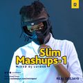 DJ LUIDEE SLIM MASHUPS-1