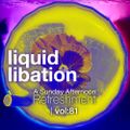 Liquid Libation - A Sunday Afternoon Relaxation | vol 81