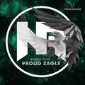 Nelver - Proud Eagle Radio Show #421 [Pirate Station Online] (22-06-2022)