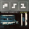 Josh Wink ‎– Profound Sounds Vol. 1