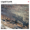DIM208 - Liquid Earth