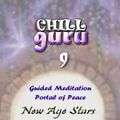 Guided Meditation - Chill Guru 9 - Portal of Peace Edition #36