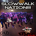 SlowWalk Nation (Tape)