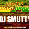 DJ SMUTTY - LIVE STRICTLY RAGGA JUNGLE AUGUST 2020 [FREEDNB.com]