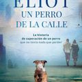 MATICES CULTURALES: Entrevista a Verónica Salgado sobre el Libro Elliot, un perro de la calle.