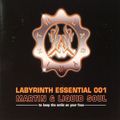 Martin & Liquid Soul ‎– LABYRINTH ESSENTIAL 001 [2006]
