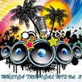 Música Tropical Mix Vol. 3