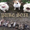 Pure Soil V - 16th October 2018