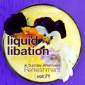 Liquid Libation - A Sunday Afternoon Relaxation | vol 71