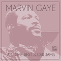 MARVIN GAYE ALL TIME BEST SLOW JAMS