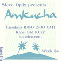 Steve Optix Presents Amkucha on Kane FM 103.7 - Week 114