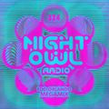 Night Owl Radio 324 ft. EDC Orlando 2021 Mega-Mix