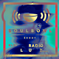 Soulbowl w Radiu LUZ: 266. Feels Like (2022-03-30)