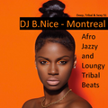 DJ B.Nice - Montreal - Deep, Tribal & Sexy 51 (*R U Kidding ?... AFRO JAZZY LOUNGY TRIBAL BEATS !?*)