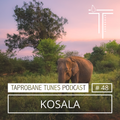 TAPROBANE TUNES PODCAST 048 - KOSALA ( Sri Lanka )