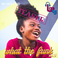 what the funk vol 15 - teaser