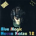 Blue Magic House Katze 12