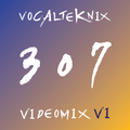 Trace Video Mix #307 VI by VocalTeknix