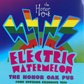 Electric Watermelon - warts and all - 14th Aug 2021