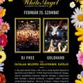 Nemere & Dj Free & Goldhand - Live @ White Angel Budapest 2012.02.25.