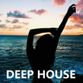 DJ DARKNESS - DEEP HOUSE MIX EP 19
