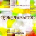 Springdance 2019 mixed by BART & Paul (2019)