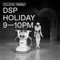 DSP Holiday (21.11.17)