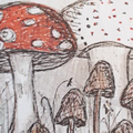 Gathering The Mushrooms #1