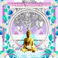ValerianVolumes_XIII_part1 #chillout #lounge #balearic #ethno #downtempo #electronic #dub