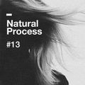 Natural Process #13