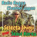 #29 Selecta Shinji Selection from Seuol Korea