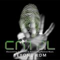 Carl Craig - CNTRL TV 10, Beyond EDM - The Hoxton, Toronto, Canada - 08.11.2012