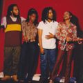 Ziggy Marley & the Melody Makers 08/07/93 World Music Theater, Tinley Park, IL A+ FM