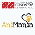 Hablamos con el creador del programa, “Animanía”, Jorge Mercado Ruiz.