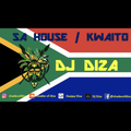 SA HOUSE / KWAITO MIX BY DJ DIZA