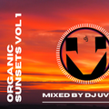 Organic Sunsets mixed by DJ UV Vol 1 - Organic House | Melodic Techno | Sundowner