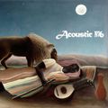 Acoustic №6