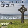 Celtic folk-jazz-rock fusion music