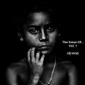 The Voice Of...Vol. 1 (dj ienz)