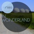 Mr TEA - In Wonderland