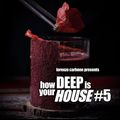 how Deep is your HOUSE #5