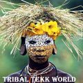 Tribal Tekk World