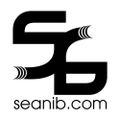 Seani B Lovers Rock Mix