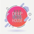 Deep Melodic House : January 2021