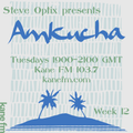 Steve Optix Presents Amkucha on Kane FM 103.7 - Week Twelve