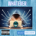 Whatever // Open Format Party Mix // Subscriber Exclusive