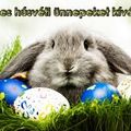 Pötyi-Kelles Húsvéti Ünnepeket!!! .mp3