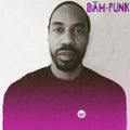 PRINCE Mix by DāM-FunK for Wax Poetics