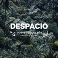 Despacio Limited #001: April 2017